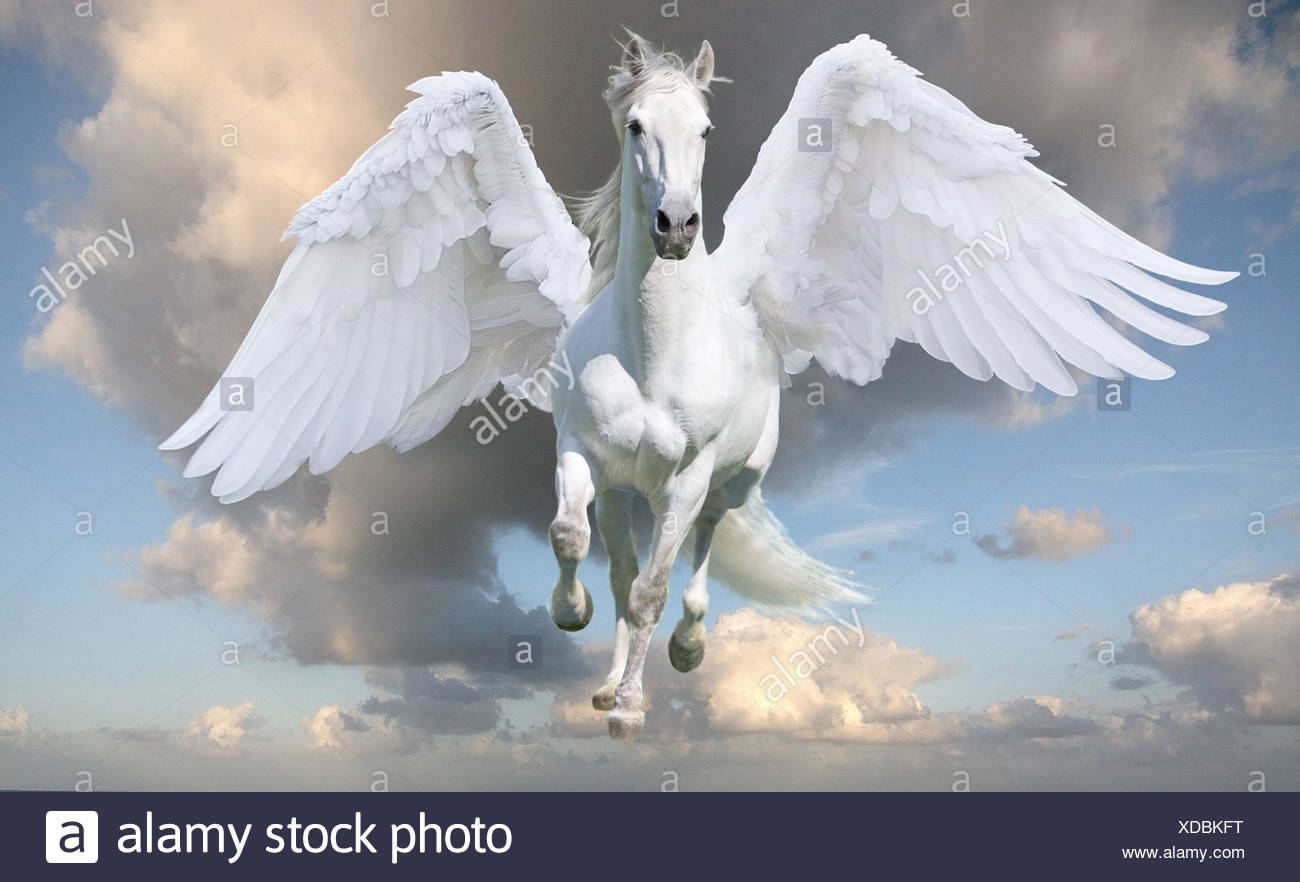 pegasus-in-gallop-with-wings-spread-XDBKFT.jpg