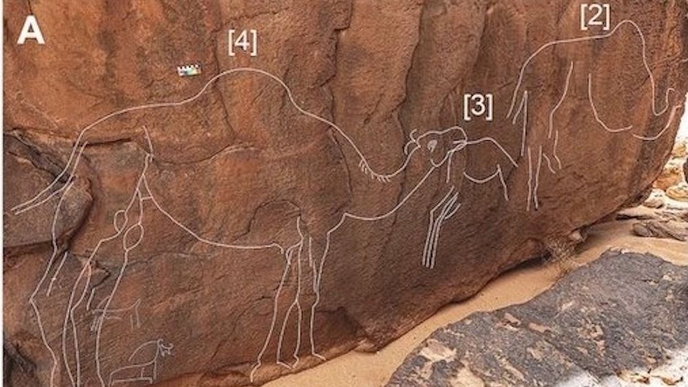 www.livescience.com