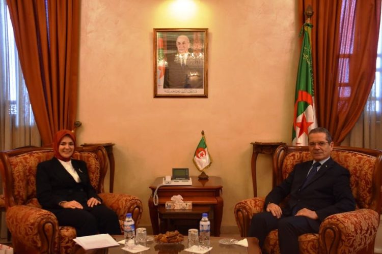 الاستثمار في الزراعات الاستراتيجية بالجنوب وإنتاج القطن..مباحثات جزائرية تركية الاستثمار في الزراعات الاستراتيجية بالجنوب وإنتاج القطن..مباحثات جزائرية تركية