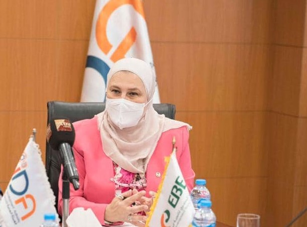 الصادرات الصادرات