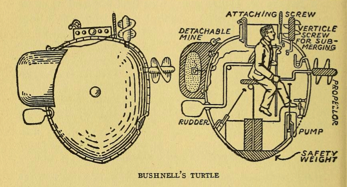 Bushnell-Turtle.jpg