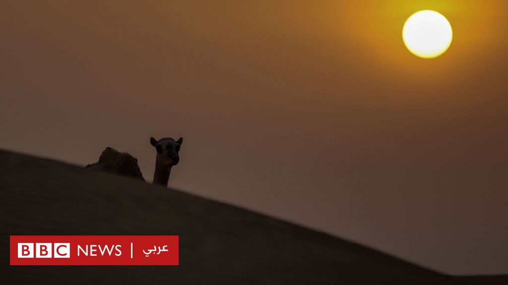www.bbc.com