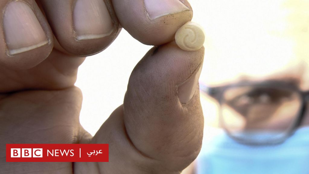 www.bbc.com