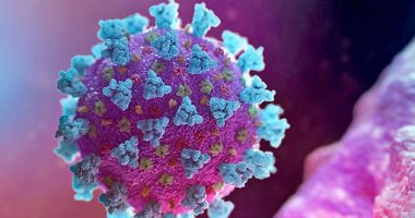 مصادر بالصحة تكشف إصابة 4 حالات جديدة حاملة لفيروس كورونا