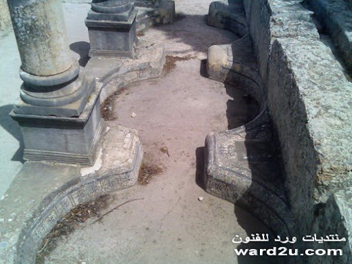 16-www.ward2u.com-Volubilis-basilica.jpg