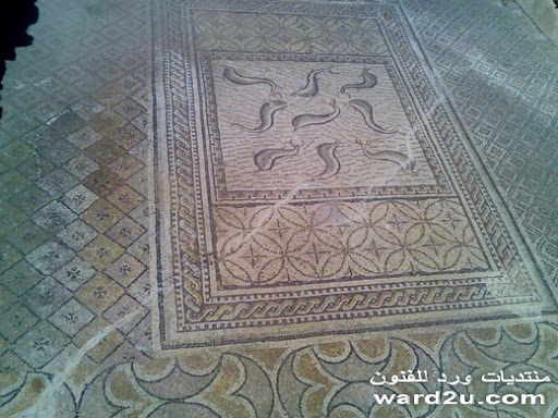 22-www.ward2u.com-Volubilis-basilica.jpg