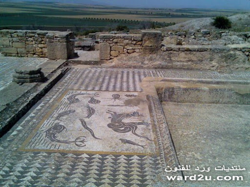 26-www.ward2u.com-Volubilis-basilica.jpg
