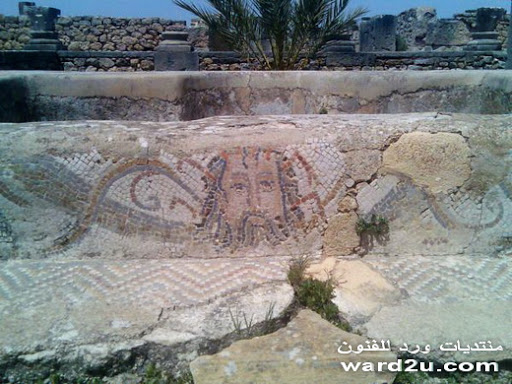 33-www.ward2u.com-Volubilis-basilica.jpg