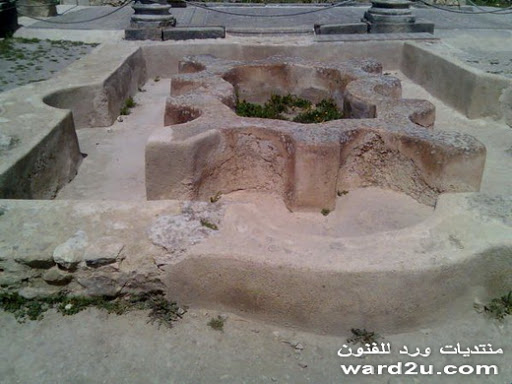 30-www.ward2u.com-Volubilis-basilica.jpg