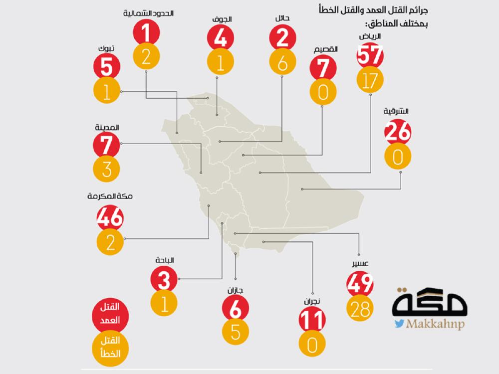 290 جريمة قتل وقعت العام الماضي و4 عوامل لارتكابها | صحيفة مكة