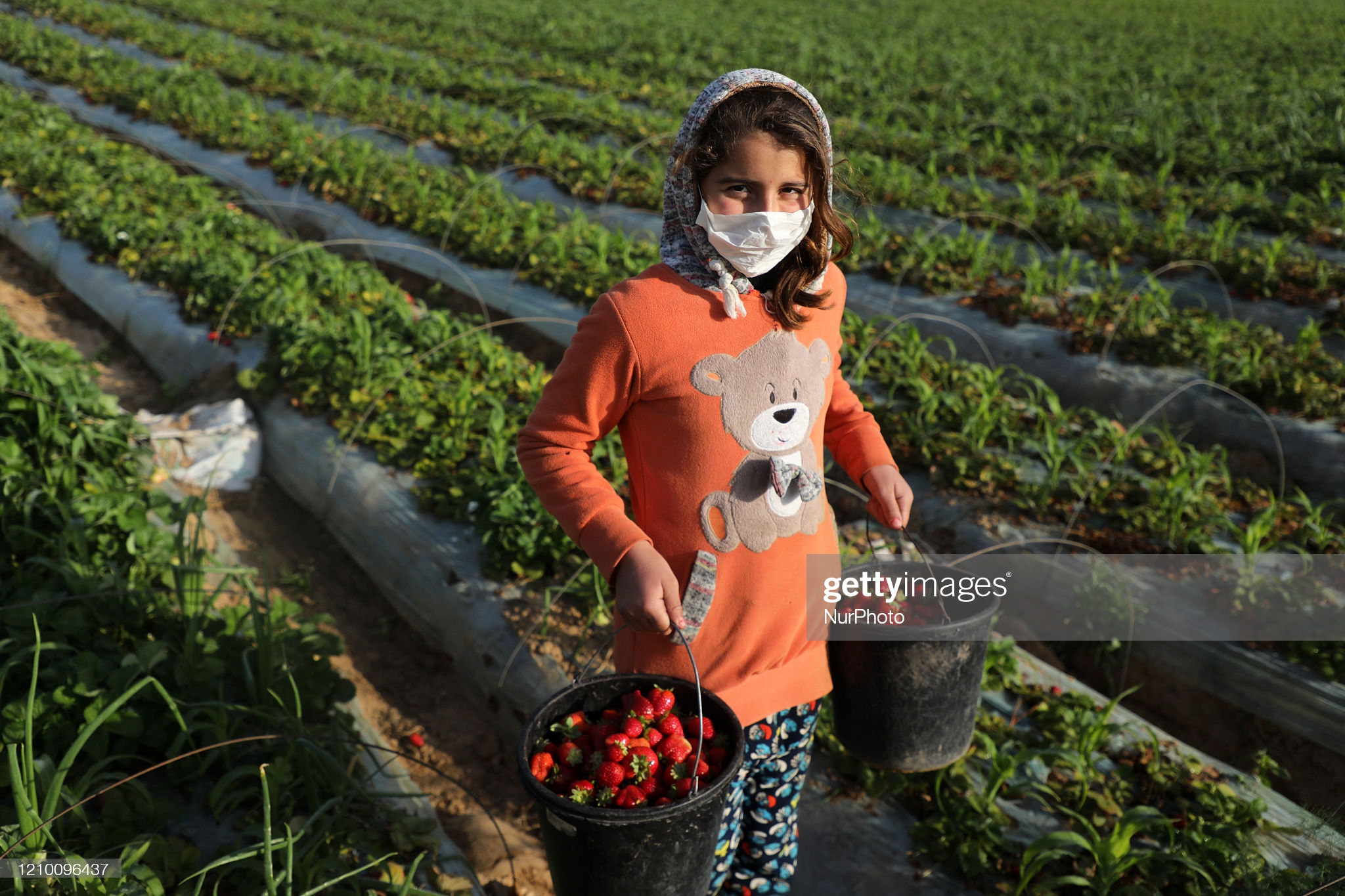 palestinian-girl-wearing-a-mask-holds-a-bucket-filled-with-at-a-in-picture-id1210096437