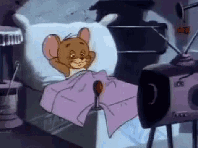 Tom And Jerry Bed GIFs | Tenor