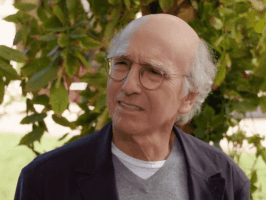 Curb Your Enthusiasm Reaction GIF
