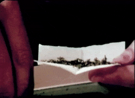 Weed Rolling GIF by Hash Museum