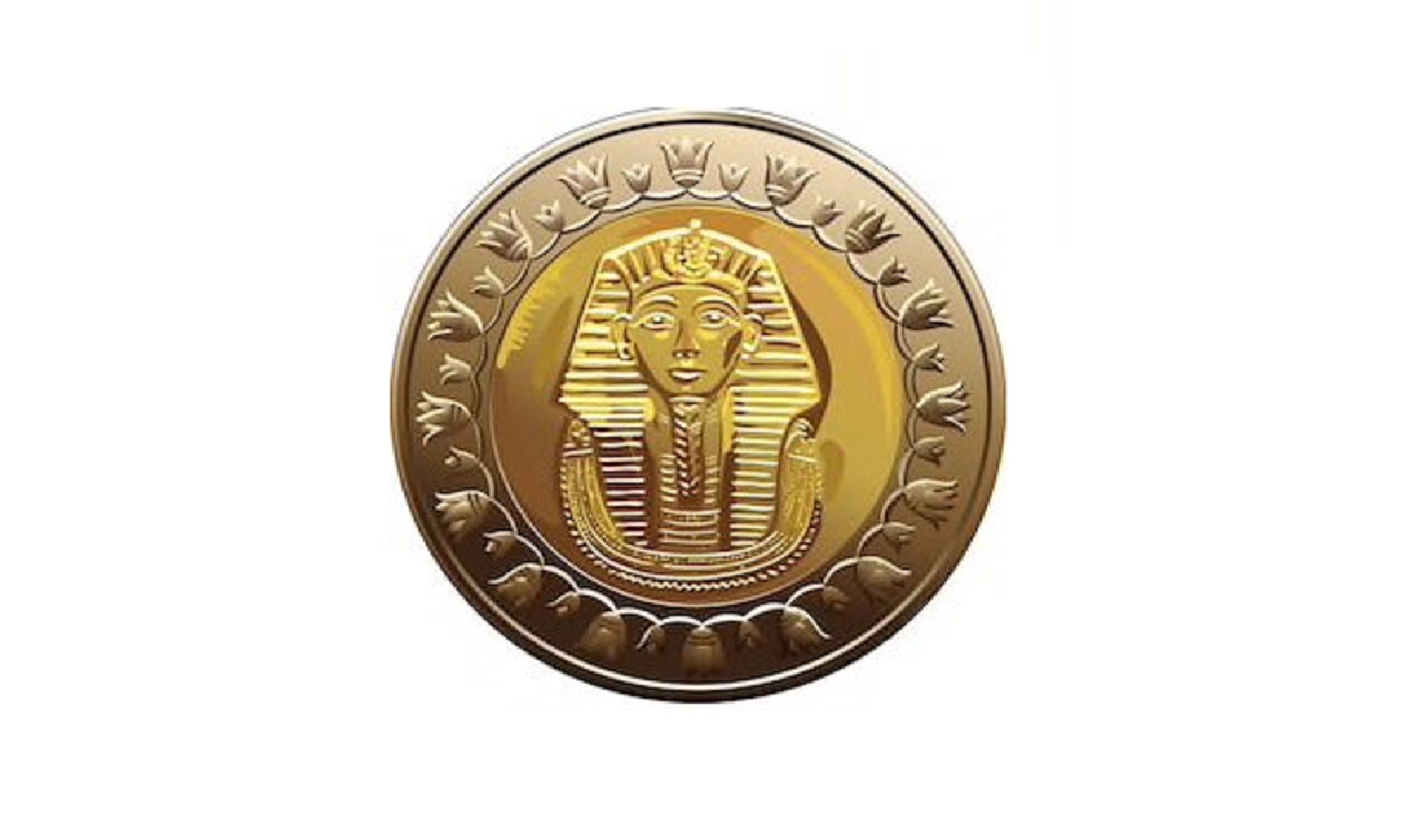 misr365.com