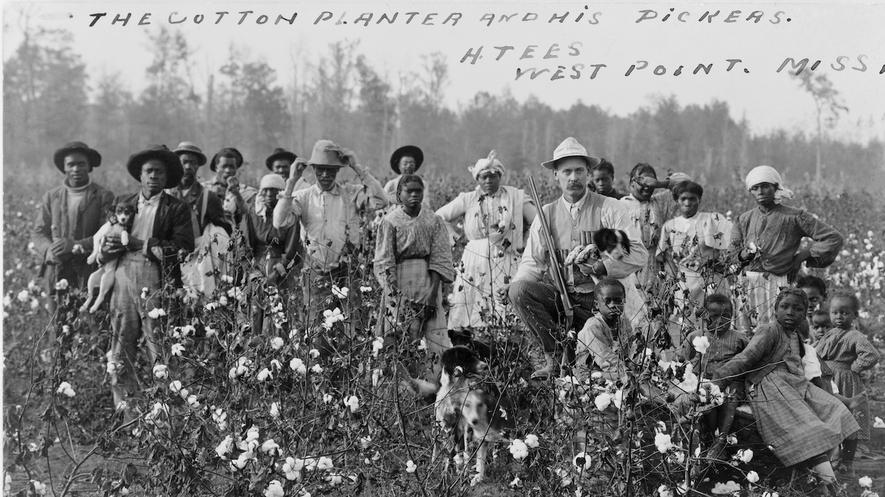 lib-ushistory-cotton-south-slavery-economy-c354233a.jpg