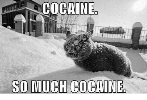 cocaine-so-much-cocaine-33545914.png