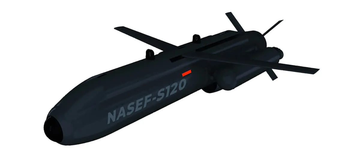 nasef-1.jpg.webp