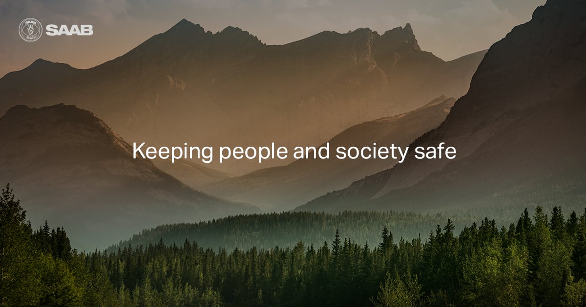 saabgroup.com