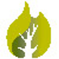 www.mapaypellet.com