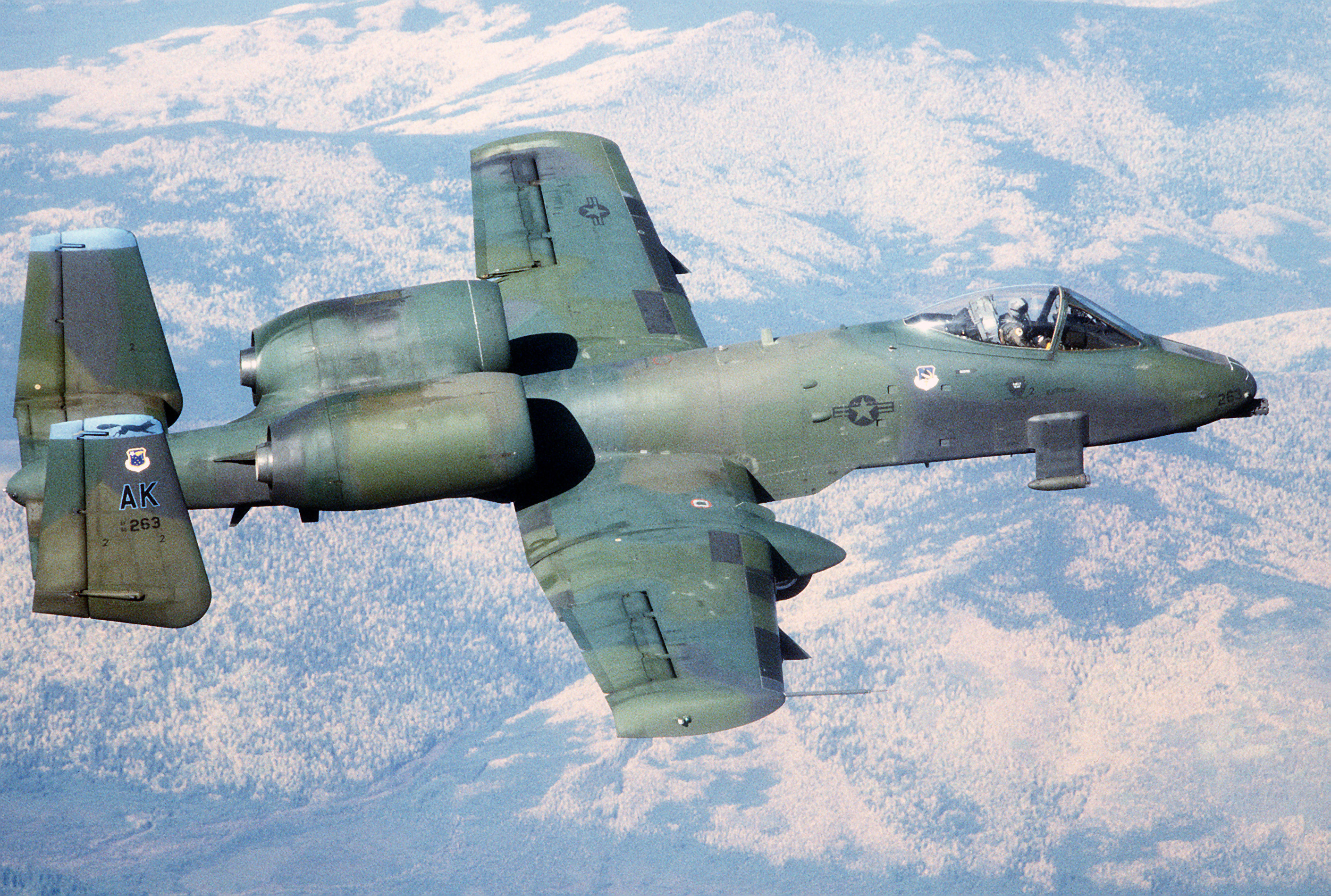 A-10_Thunderbolt_II_Low-vis.JPEG