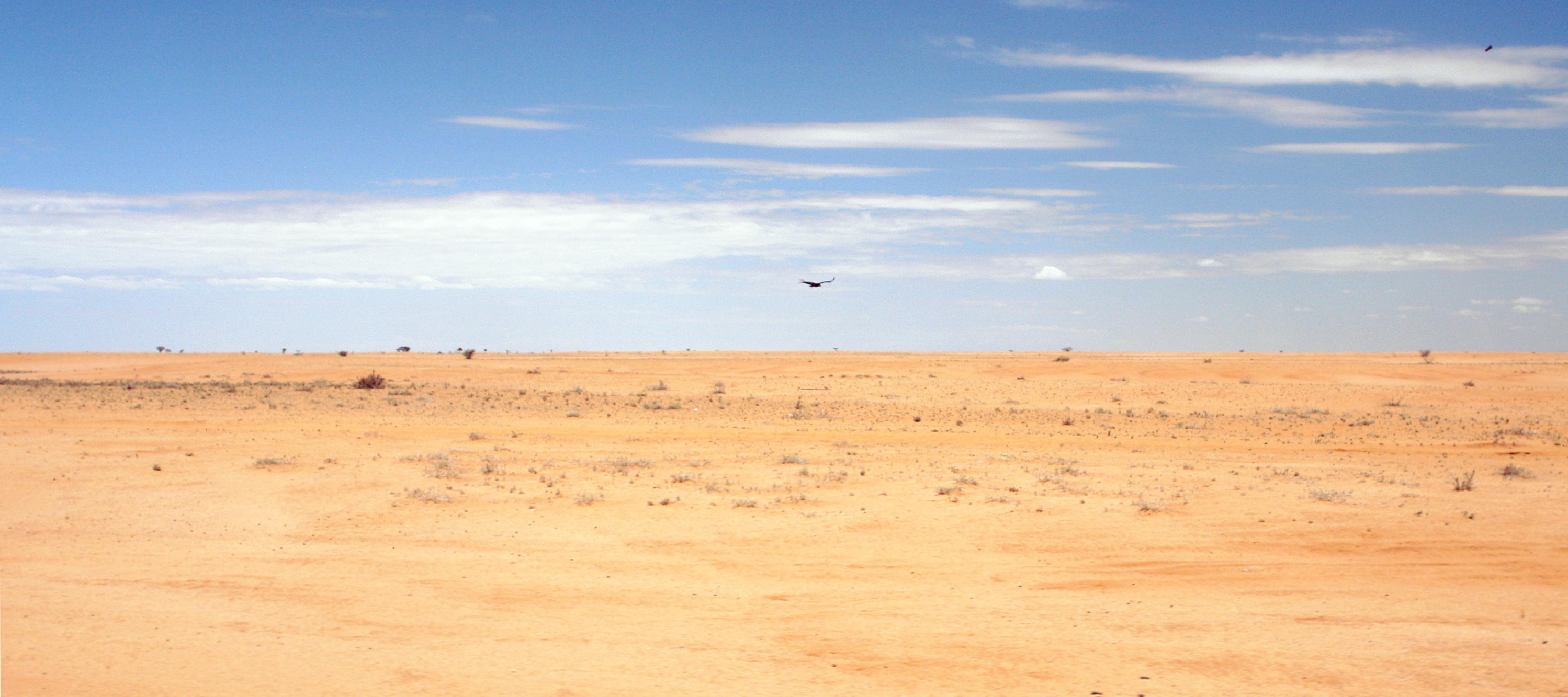 Chalbi_Desert_Panorama.jpg