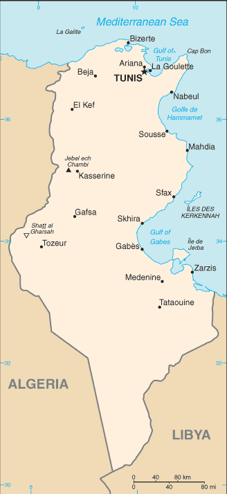 Algeria–Tunisia border - Wikipedia
