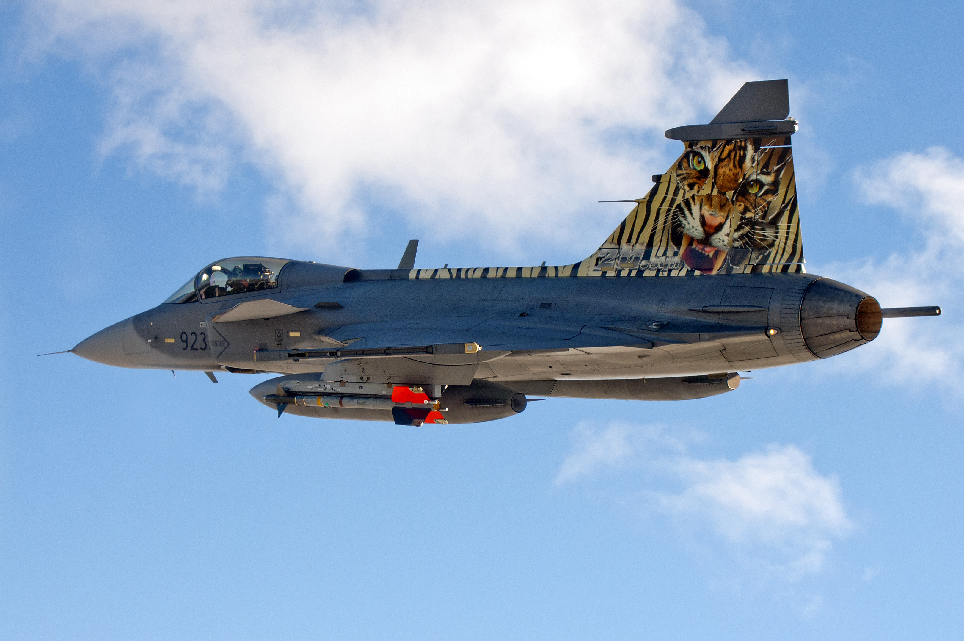 Saab_JAS-39_Gripen_%28Czech_Air_Force%29_%287313937028%29.jpg