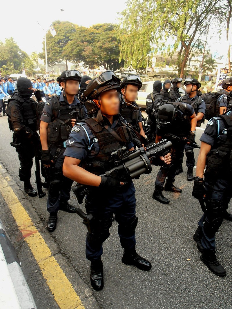 800px-2015_National_Day_Parade%2C_Kuala_Lumpur_AB25.JPG