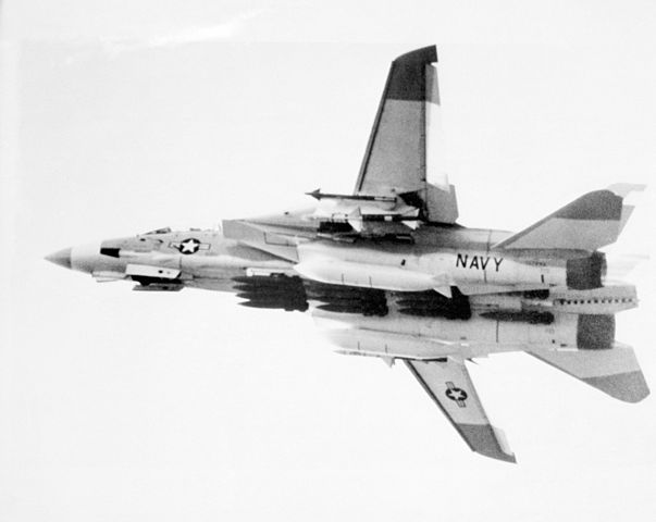 603px-F-14_loaded_with_bombs.jpg