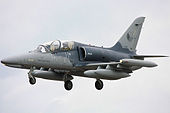 170px-L159_-_RIAT_2008_%283153741944%29.jpg