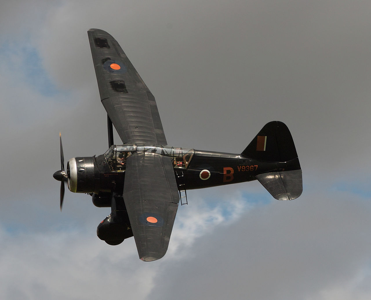 1280px-Lysander_5_Aug_2012_a.jpg