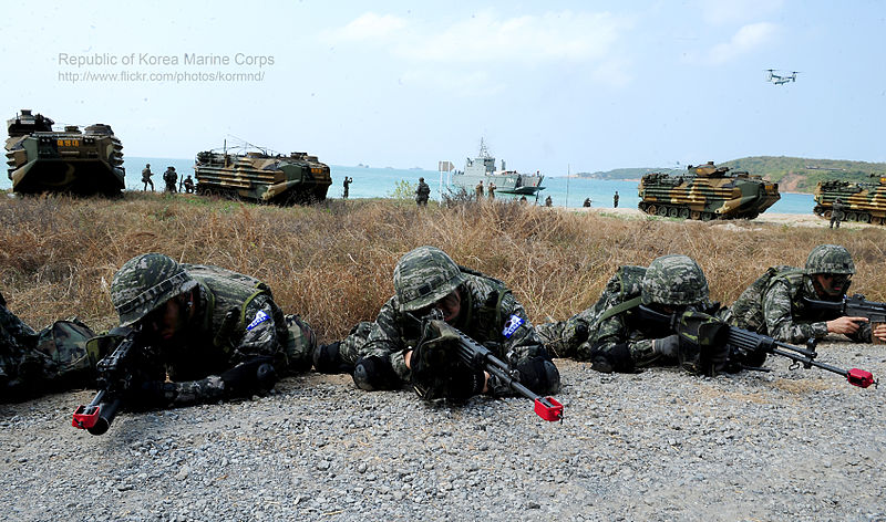 800px-2014.2.14._2014_%EC%BD%94%EB%B8%8C%EB%9D%BC%EA%B3%A8%EB%93%9C_%EC%97%B0%ED%95%A9%ED%9B%88%EB%A0%A82014_Cobra_Gold_Combined_Exercise_14th%2C_Feb%2C_2014_%2812652426714%29.jpg