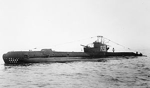 300px-HMS_Sidon.jpg