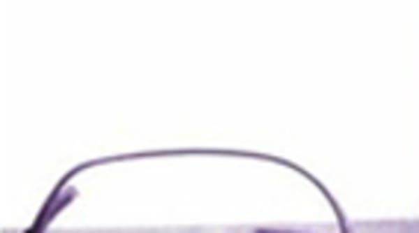 www.alarabiya.net