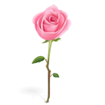 pink-roses-icons-39393-150x150.png