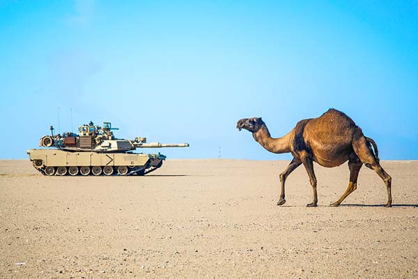 www.jewishpress.com