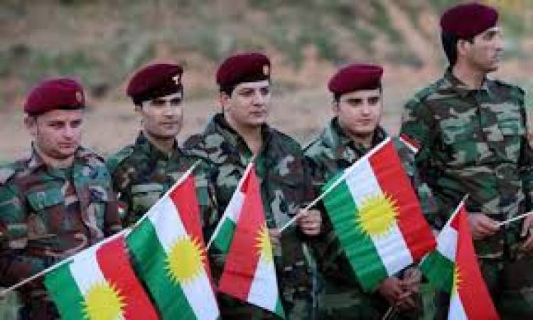 دراسة الأكراد 