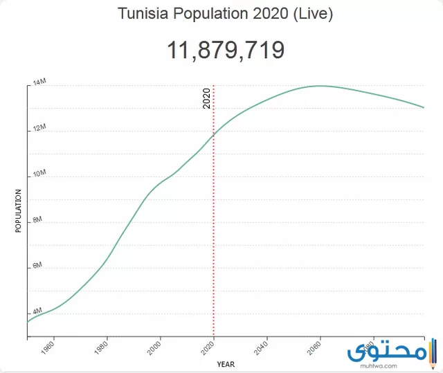 كم عدد سكان تونس 2023 - موقع محتوى