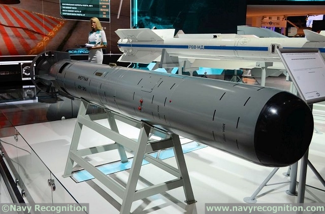Tactical_Missiles_Corporation_APR-3ME_Grif_torpedo_2.jpg
