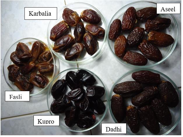 Showing-Date-palm-fruit-varieties-Sampling-and-chemical-analysis-The-samples-of-ripped.png
