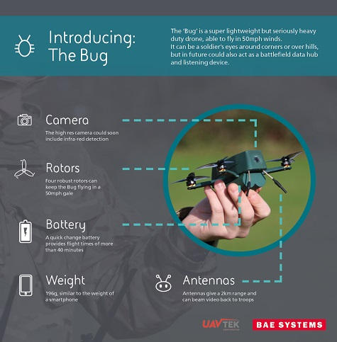 bug-2-20201229.jpg
